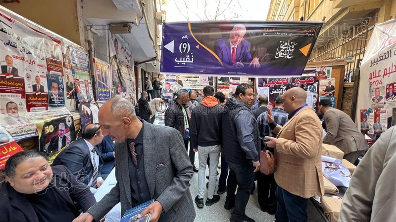 انتخابات المحامين،