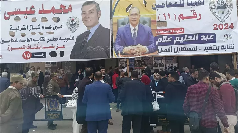 انتخابات المحامين،