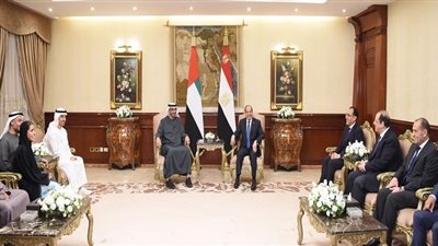 السيسي وبن زايد يبحثان جهود وقف إطلاق النار في غزة وإنفاذ المساعدات الإنسانية
