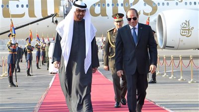 السيسي وبن زايد يشددان على ضرورة تفعيل حل الدولتين باعتباره سبيل تحقيق العدل والأمن والاستقرار بالمنطقة