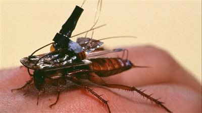 ابتكار صرصور قادر على تصوير الأماكن الصعبة