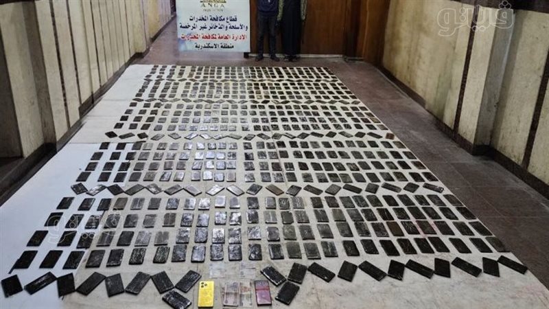 مخدر الحشيش،فيتو