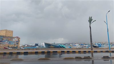 هطول أمطار متوسطة على الإسكندرية تزامنا مع نوة برد العجوزة 