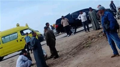 نجلتها حاولت إنقاذها، تفاصيل مثيرة في جريمة عيد الأم بالشرقية