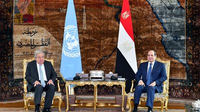 السيسي يستعرض مع جوتيريش جهود وقف إطلاق النار بغزة وتبادل المحتجزين