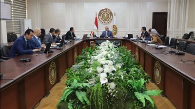 حسن شحاتة: الدولة حريصة على سرعة إصدار مشروع قانون العمل 