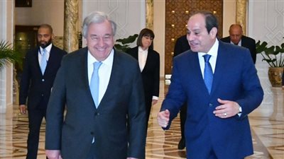 تفاصيل لقاء الرئيس السيسي وسكرتير عام الأمم المتحدة ( فيديو وصور)