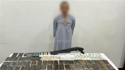حبس 10 عناصر إجرامية بتهمة حيازة مخدرات وأسلحة بـ 2.6 مليون جنيه