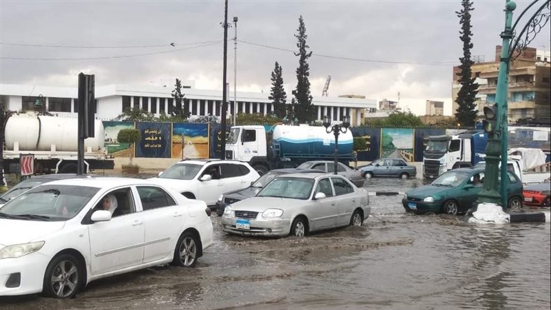 حالة الطقس غدا، فيتو