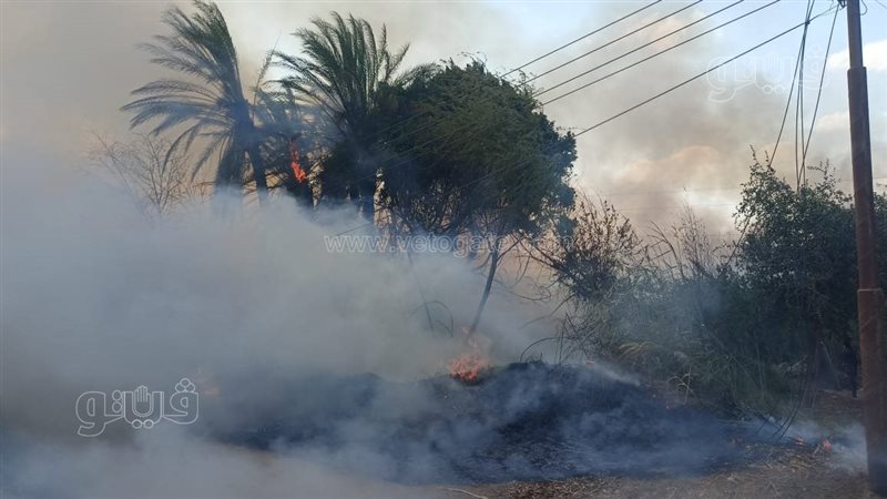 أثناء الحريق، فيتو
