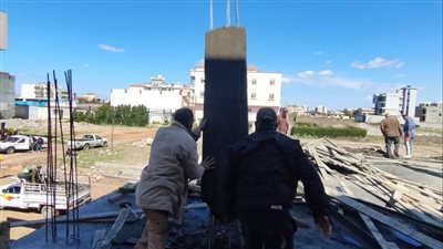 حي وسط الإسكندرية ينفذ حملة لإزالة التعديات على الأراضي الزراعية 