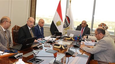 ‎وزير قطاع الأعمال يستعرض خطة تطوير فروع شركات التجارة الداخلية 