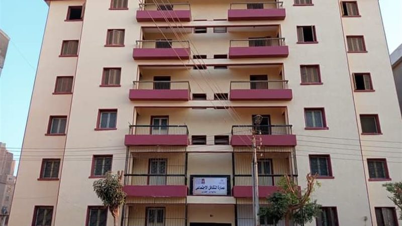 عمارة تضامن الوادي