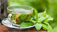 فوائد الشاي الأخضر للجسم، ومتى يؤثر على الكبد؟ 