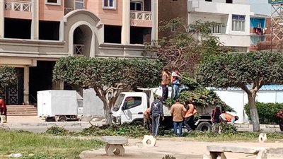 جهاز التجميل بالإسماعيلية يواصل زراعة الأشجار بالشوارع والمسطحات (صور) 
