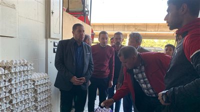 حملات على محطات الوقود والسلاسل التجارية بمركز إيتاي البارود في البحيرة