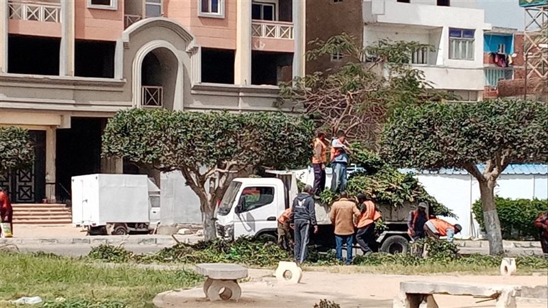 أعمال زراعة الأشجار،