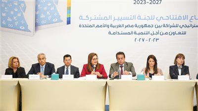 حسن شحاتة: الحكومة تناقش مسودة مشروع قانون العمالة المنزلية