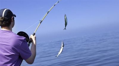 تفسير حلم صيد السمك في المنام وعلاقته بمواجهة بعض المشكلات