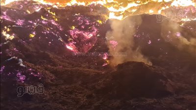 اندلاع حريق بهيش في القصاصين بالإسماعيلية (صور) 