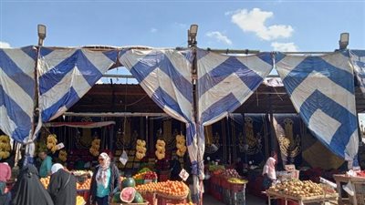 أسعار الخضار والفاكهة بسوق الجملة في أكتوبر