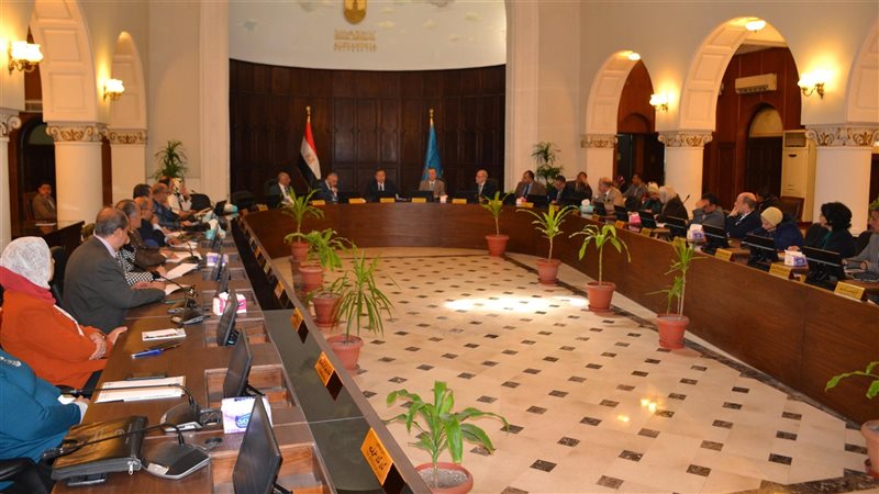 جامعة الإسكندرية،