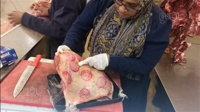 وصلت لمرحلة العفن، قرار عاجل من النيابة بعد ضبط لحوم فاسدة داخل هايبر شهير بأسوان