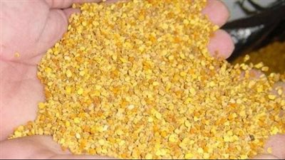 فوائد طلع النخل، يحارب السرطان وينظف القولون ويعالج العقم