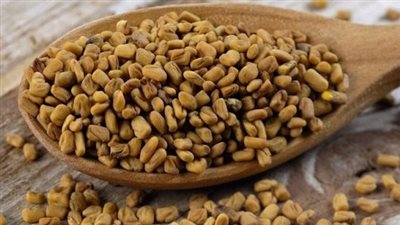 فوائد الحلبة للنساء، في رمضان تجدد الطاقة وتحسن الهضم