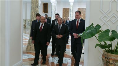 السيسي: ضرورة اضطلاع المجتمع الدولي بمسئولياته في الضغط من أجل الوقف الفوري لإطلاق النار بغزة