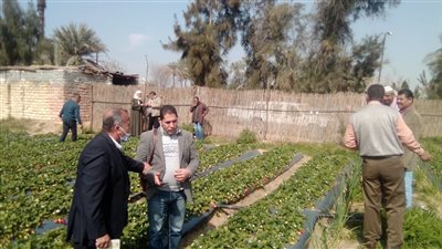 جامعة قناة السويس تنافس بمسابقة أفضل جامعة صديقة للبيئة (صور) 