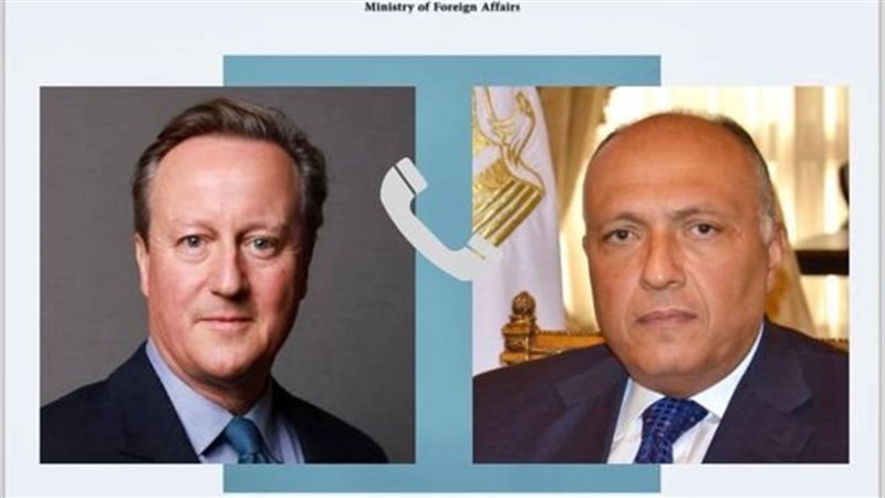 سامح شكري وديفيد