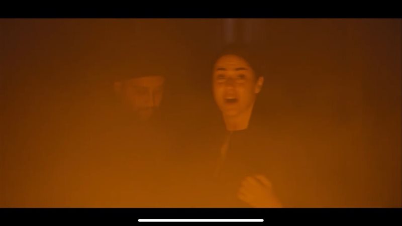 مسلسل الحشاشين، فيتو