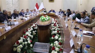 محافظ الوادي الجديد يعقد اجتماع مجلس إدارة صندوقي الخدمة والإسكان 