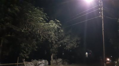 عاصفة ترابية ورياح وأمطار تضرب محافظة الغربية (فيديو)