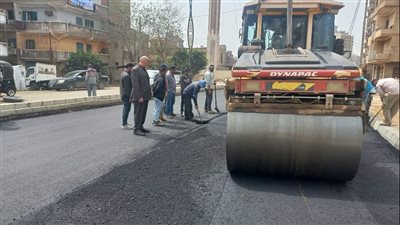 15 صورة ترصد مراحل تطوير ورصف شارع جسر النسب في الدقهلية 