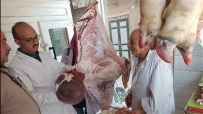 إعدام أسماك فاسدة ولحوم مذبوحة خارج السلخانة في السنبلاوين بالدقهلية (صور)