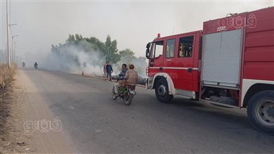 النار أكلت الأخضر واليابس، حريق هائل يلتهم 15 فدانا من قصب السكر بالأقصر (فيديو)