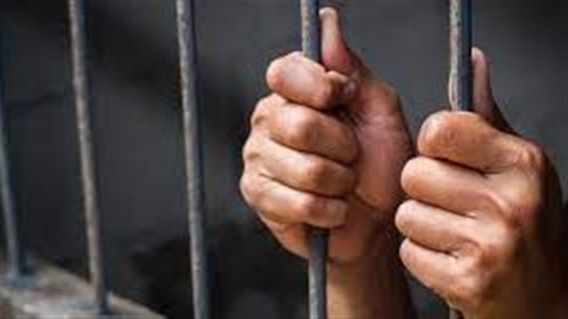 حبس عاطل بالقليوبية،