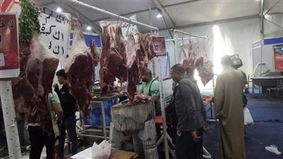  تنفيذا لتعليمات المحافظ، رئيس حي العمرانية يتابع توافد المواطنين داخل معرض أهلا رمضان (صور)