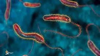 تحذيرات طبية: الكوليرا وشلل الأطفال وفيروس جديد تهدد بحصد أرواح الملايين