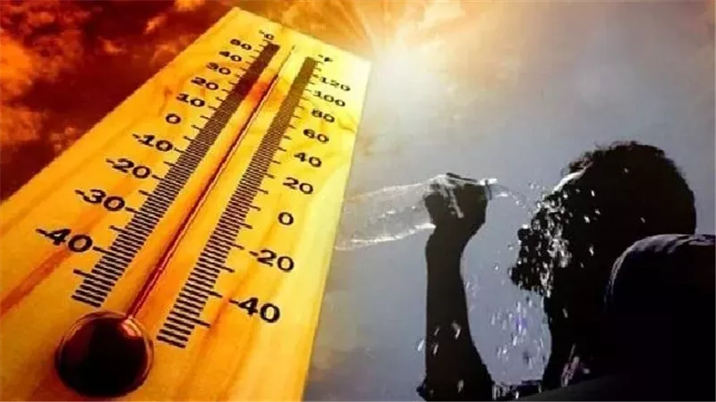 حالة الطقس، فيتو