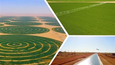 10.8 مليار جنيه تمويلات، إنجازات برنامج التنمية الزراعية في مصر (إنفوجراف)