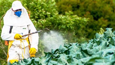 10 نصائح للمزارعين لحماية البيئة من تلوث مبيدات الآفات الزراعية (إنفوجراف)