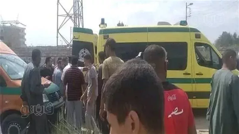 اسعاف،فيتو 