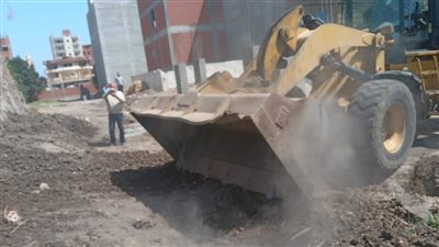 إزالة 8 حالات تعدٍّ على الأراضي الزراعية بالبحيرة 