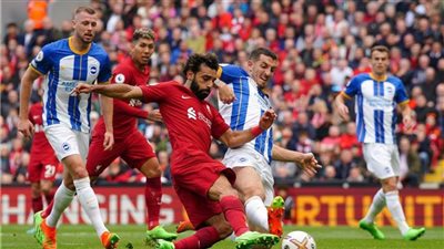 الدوري الإنجليزي، موعد مباراة ليفربول وبرايتون والقنوات الناقلة