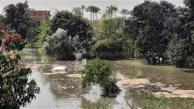 غرق أراضي زراعية ومنازل، خسائر انهيار جسر ترعة السويس بالإسماعيلية (فيديو وصور)