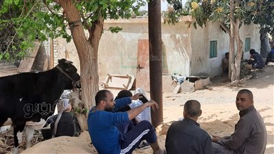 تضامن الإسماعيلية: تضرر 127 أسرة جراء انهيار جسر ترعة السويس (صور ) 