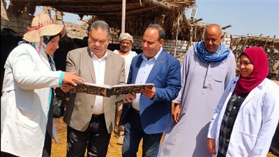 تحصين 86 ألفا و592 رأس ماشية ضد الحمى القلاعية في الدقهلية (صور)